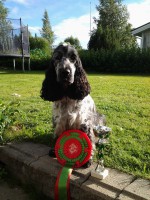 /album/ilpo/elo13-046-jpg/